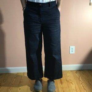 Everlane Wide Leg Crop Pant